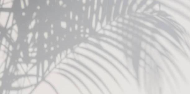 The Wedding Website of Leslie Godwin and Derek Garlich