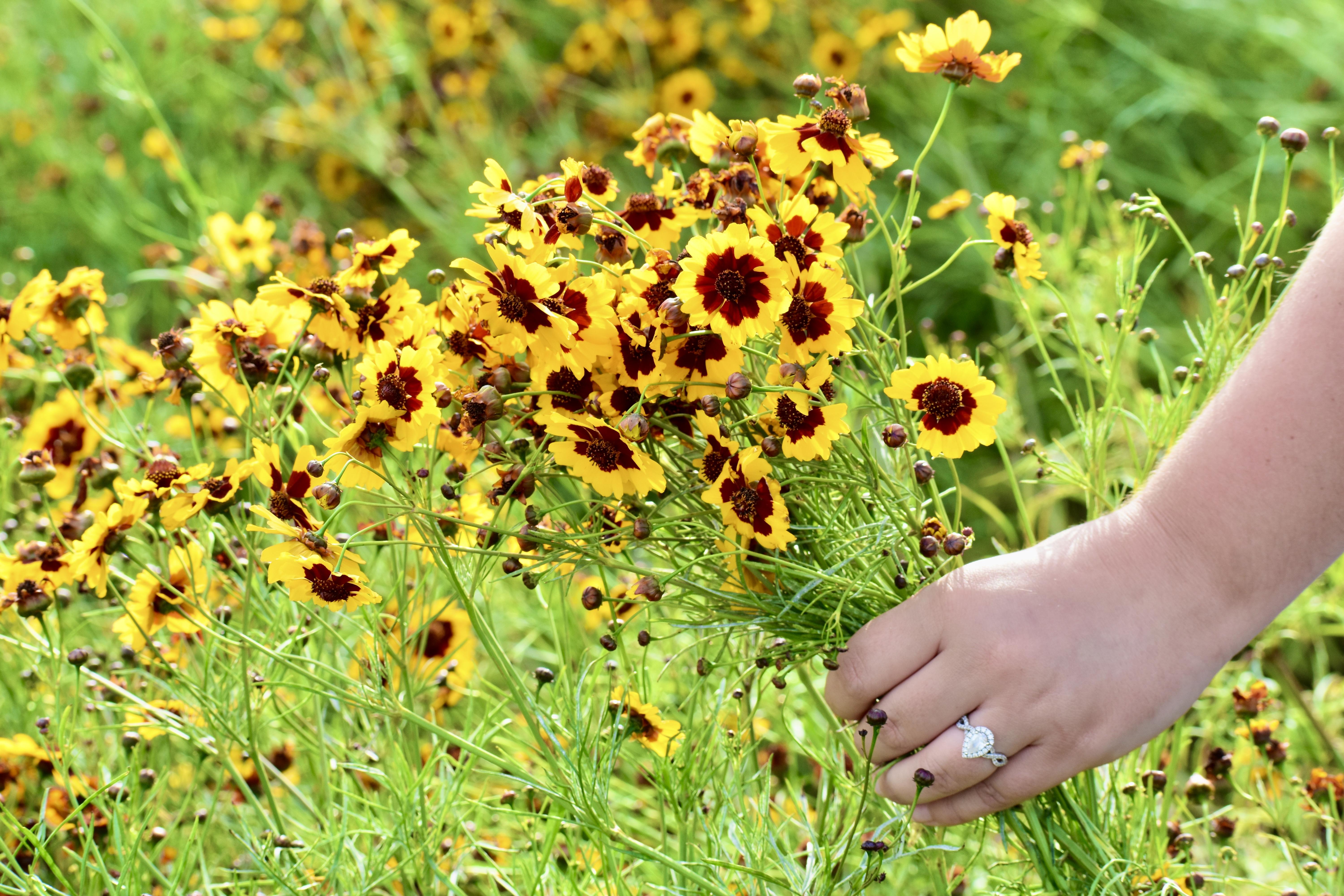 The Wedding Website of Kaylee Beasley and Levi Strickland