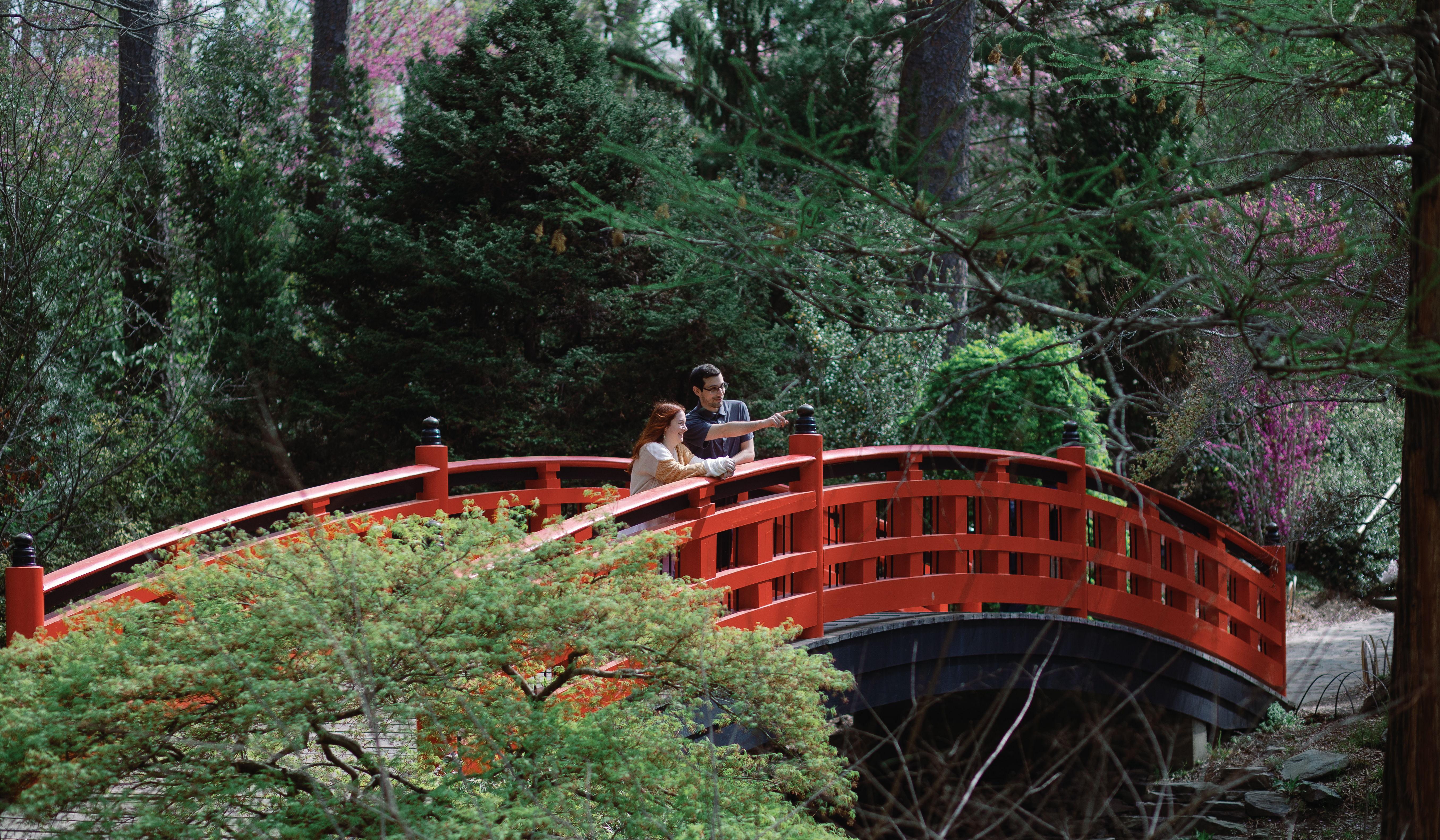 Hero Slideshow Image 3