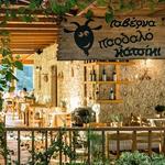 Το Παρδαλό Κατσίκι