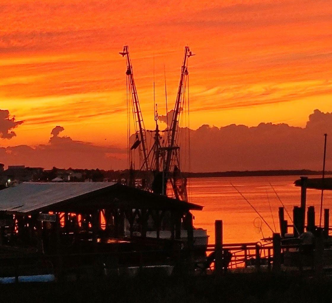 The Wedding Website of Julie A Quinn and Loney Bohannon