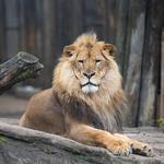 Cleveland Metroparks Zoo