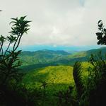 El Yunque National Forest