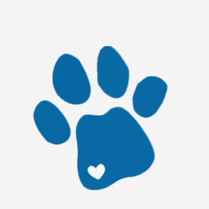 Donation to Last Paw Rescue