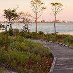 Gulf State Park