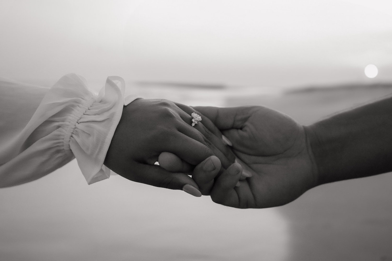 The Wedding Website of Ashley Alahakoon and Michael Artiles