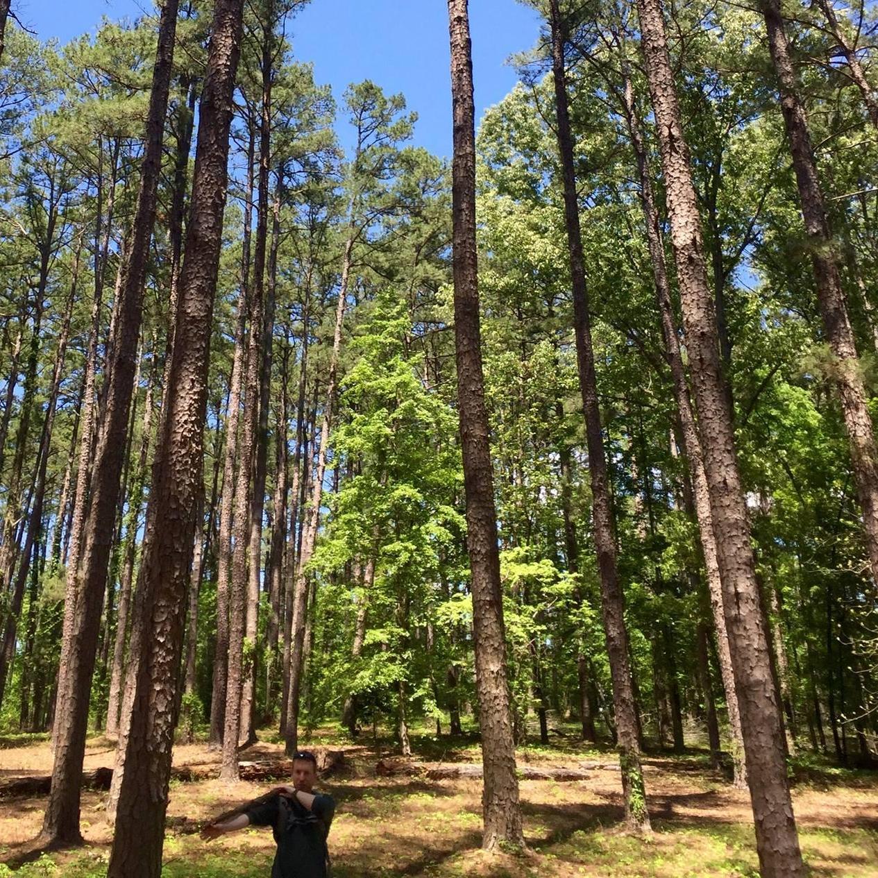 This is also where I started learning lots of fun facts about trees like how to estimate their height.