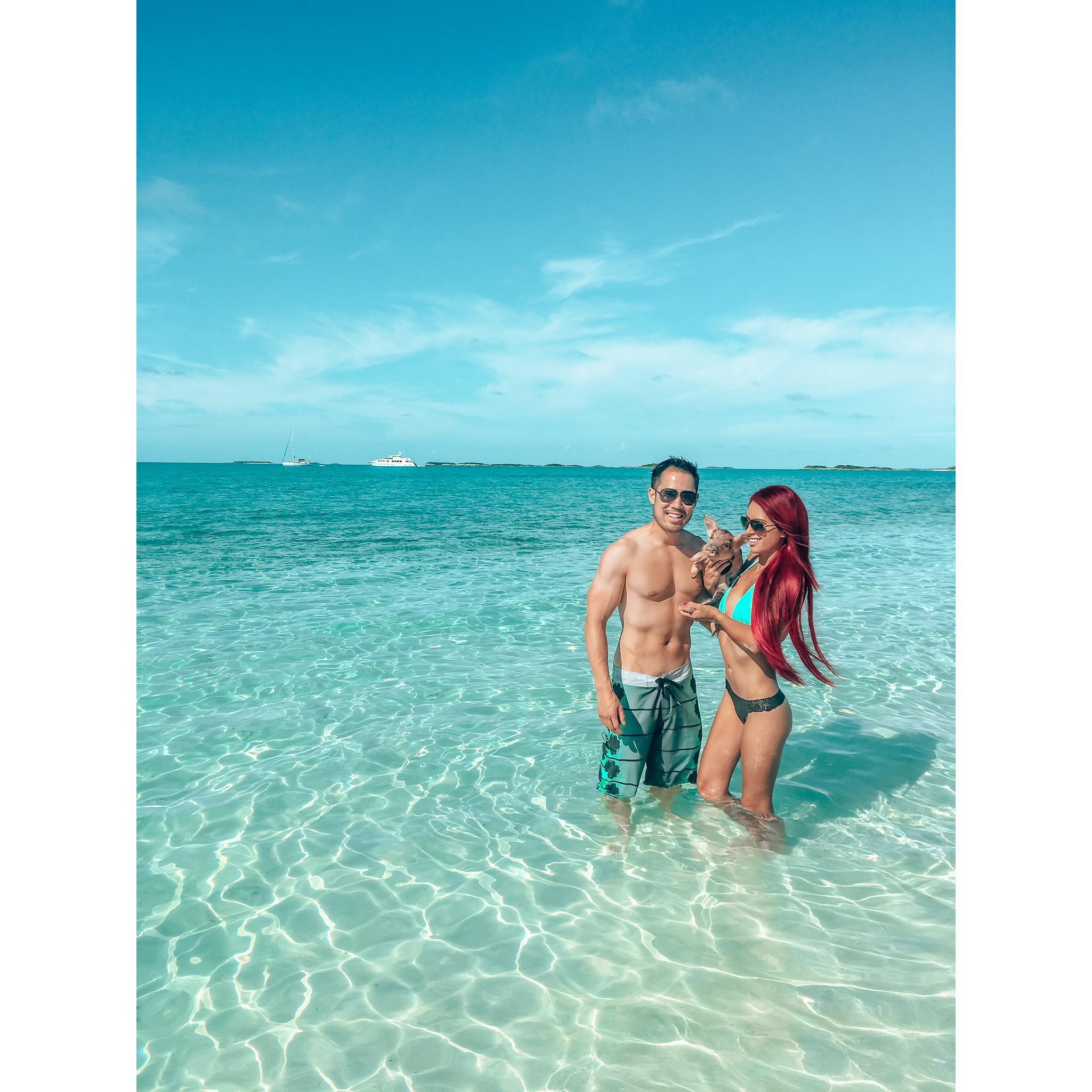 Exuma Islands with swimming pigs before it was overtaken by boats and tourist.
