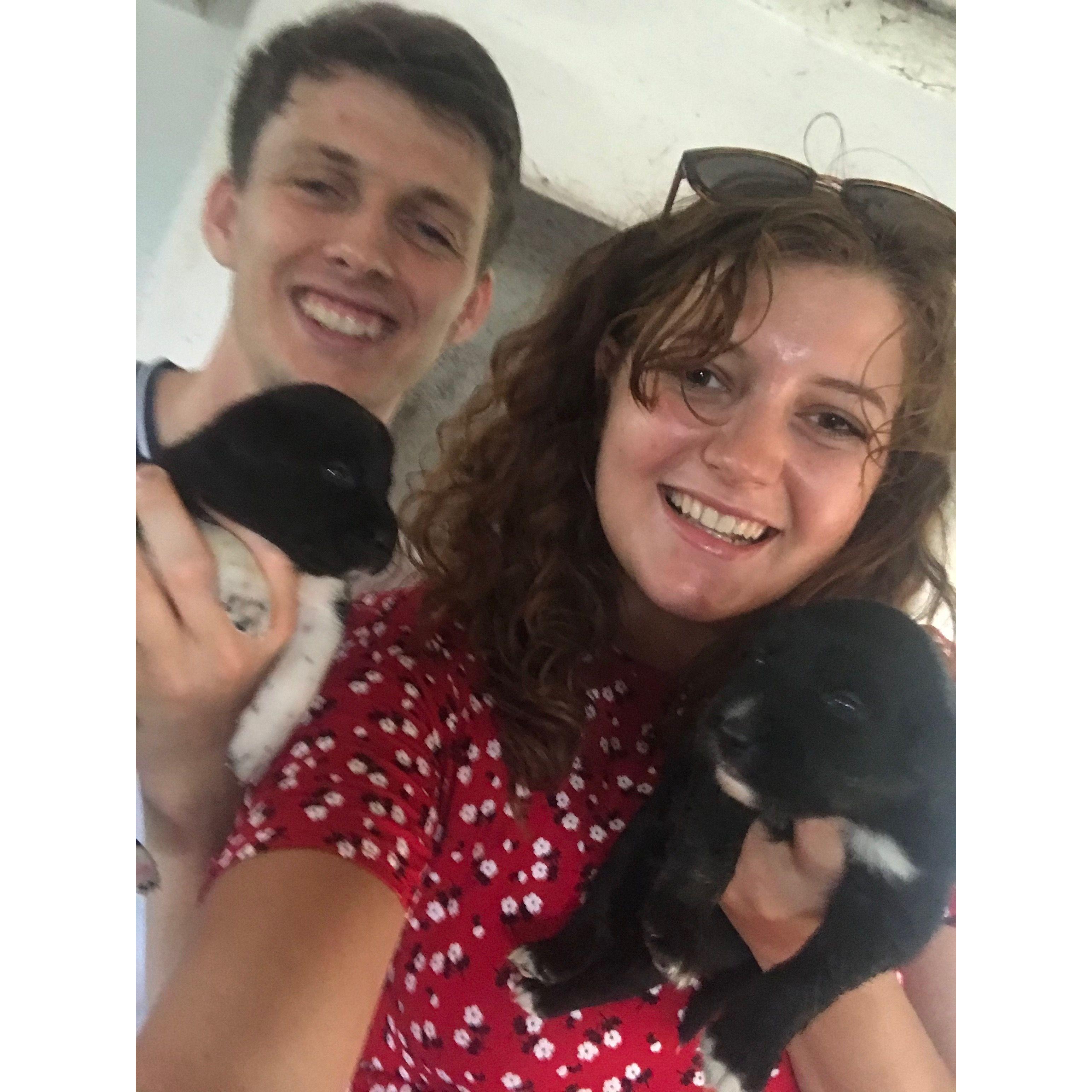We nearly adopted one of these puppies