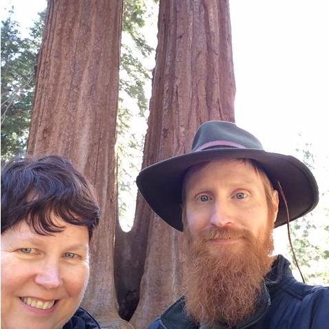 The California Redwoods