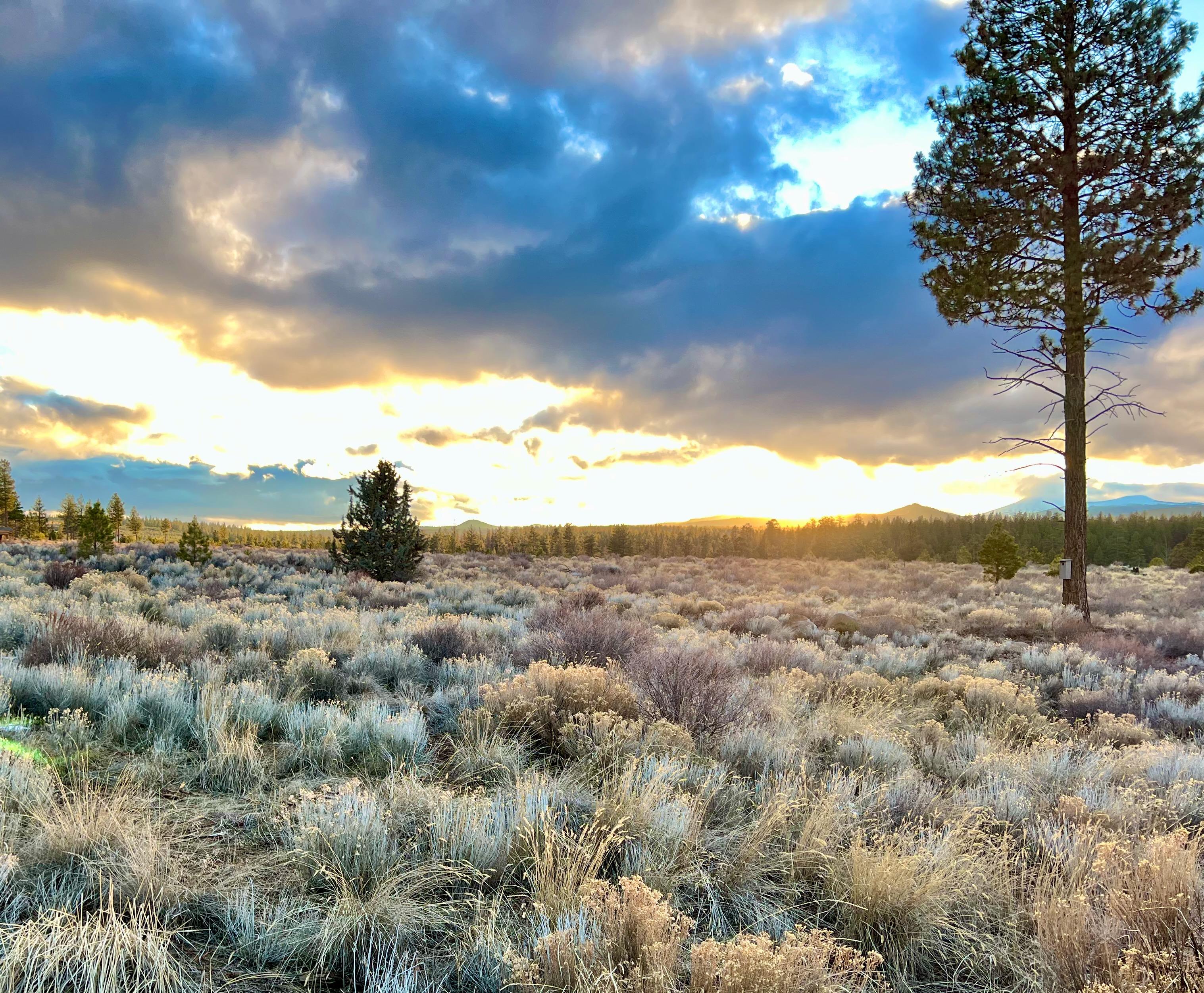 The Wedding Website of Garrett Close and Mark Samet