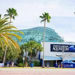 The Florida Aquarium