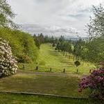 The Mook at Alderbrook