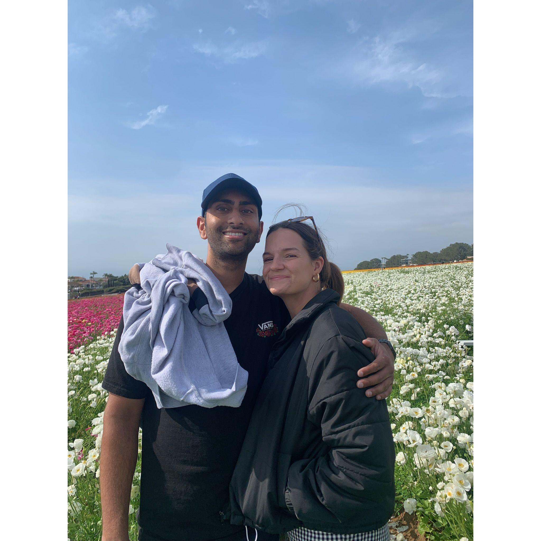 Carlsbad flower fields