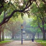 Visit Battery Park and White Point Gardens