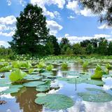 Kenilworth Park & Aquatic Gardens
