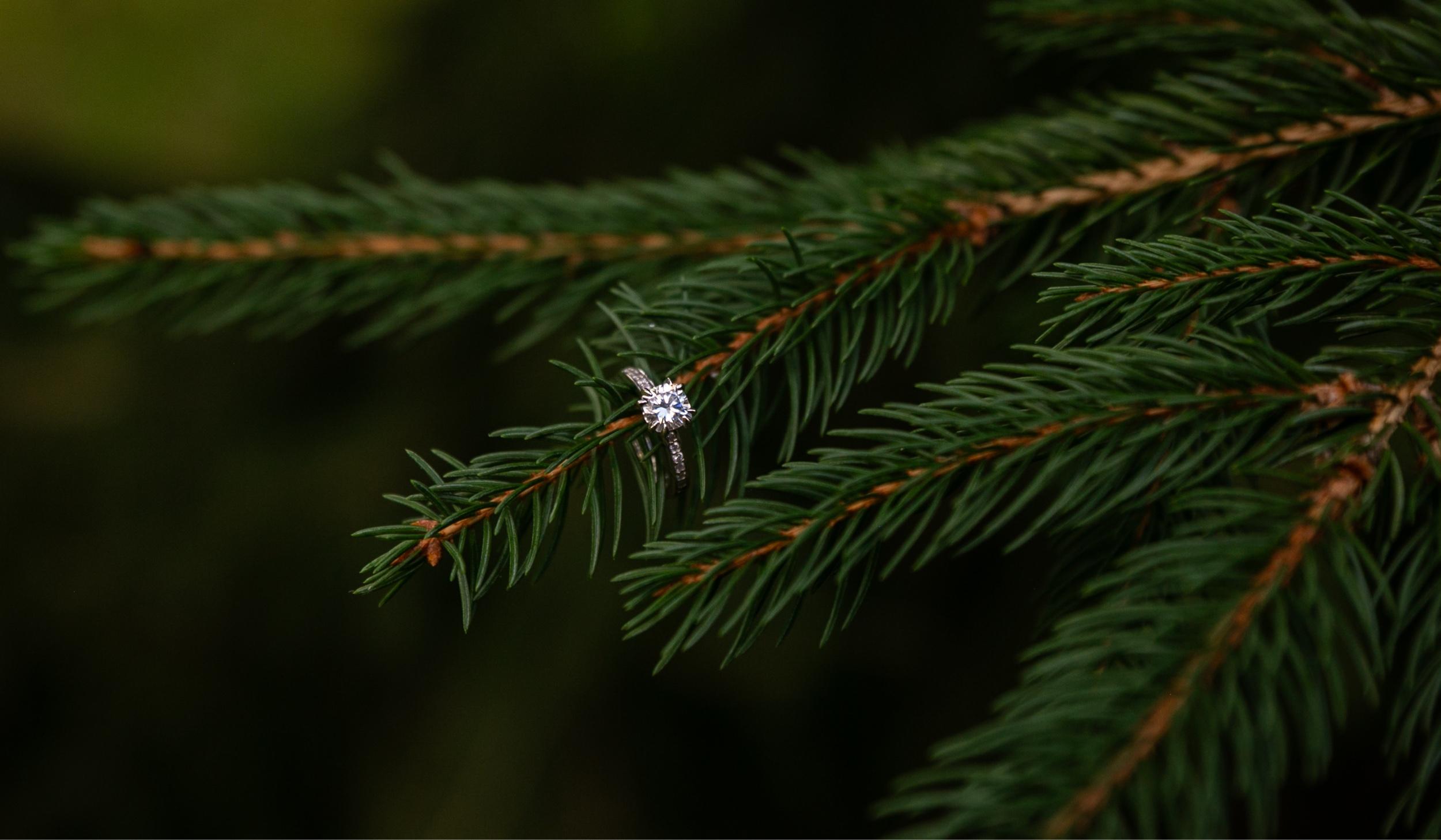 The Wedding Website of Alyssa Gaskin and Matthew Velardi