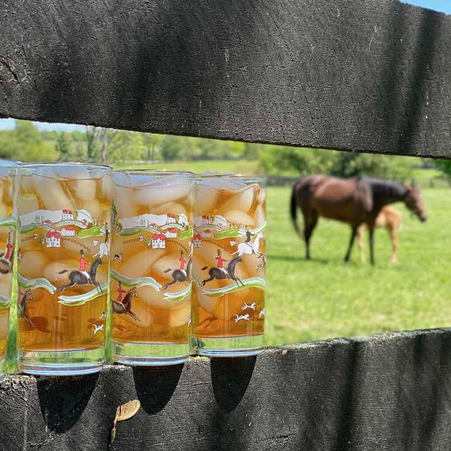 Hunt Scene Highball Glasses (Set of 4)