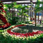 Callaway Resort & Gardens
