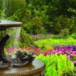 Minnesota Landscape Arboretum