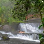 Tabacon Hot Springs