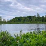 Spicer Lake Nature Preserve