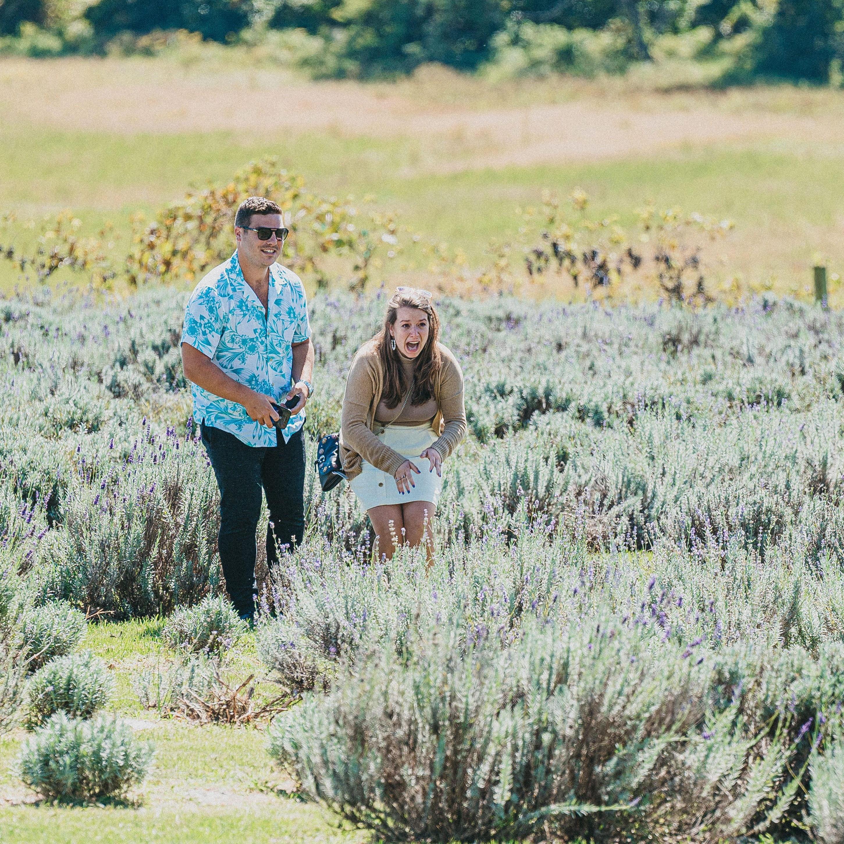 Christian planned the most beautiful proposal- and further surprised me by having our families and my favorite photographer (Shout out Brad Barnwell Photography!) on scene to celebrate our engagement