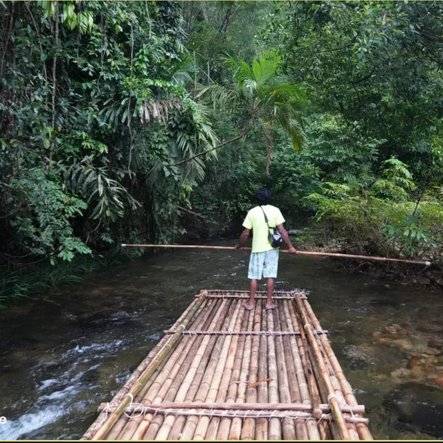 Bamboo Raft to Sea Turtle Conservation