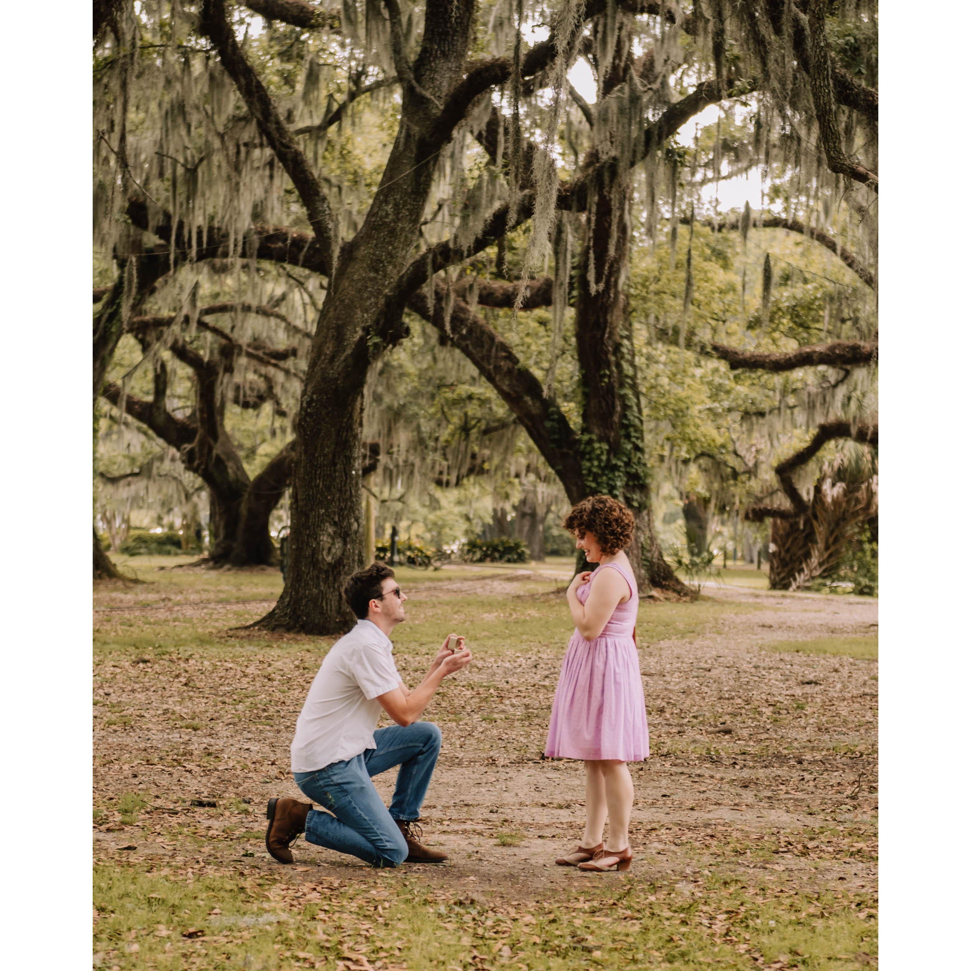 Jack Proposed in City Park! March 25, 2023