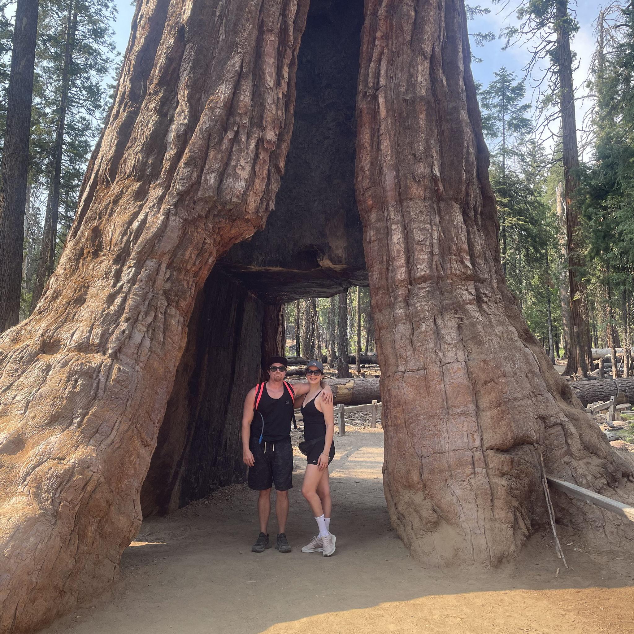 Yosemite Park, CA.