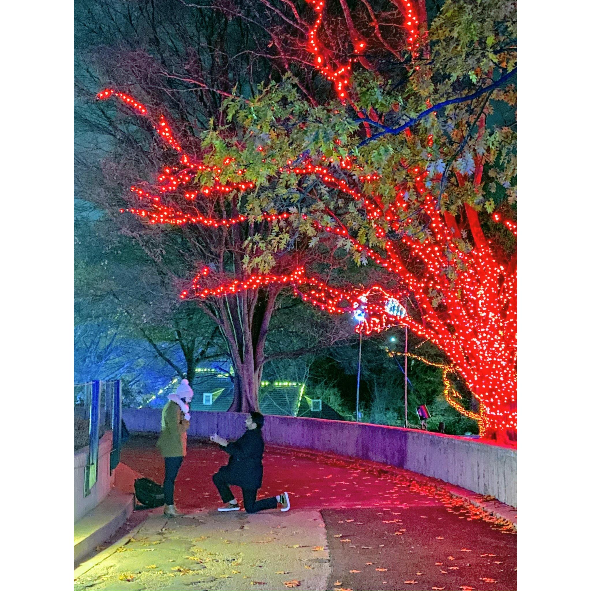 In Dec of 2019, Sidd proposed to Elizabeth at the DC Zoo in front of the Tiger exhibit due to our mutual love for cats, large and small.
