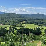 Wineries