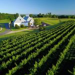 Boxwood Estate Winery