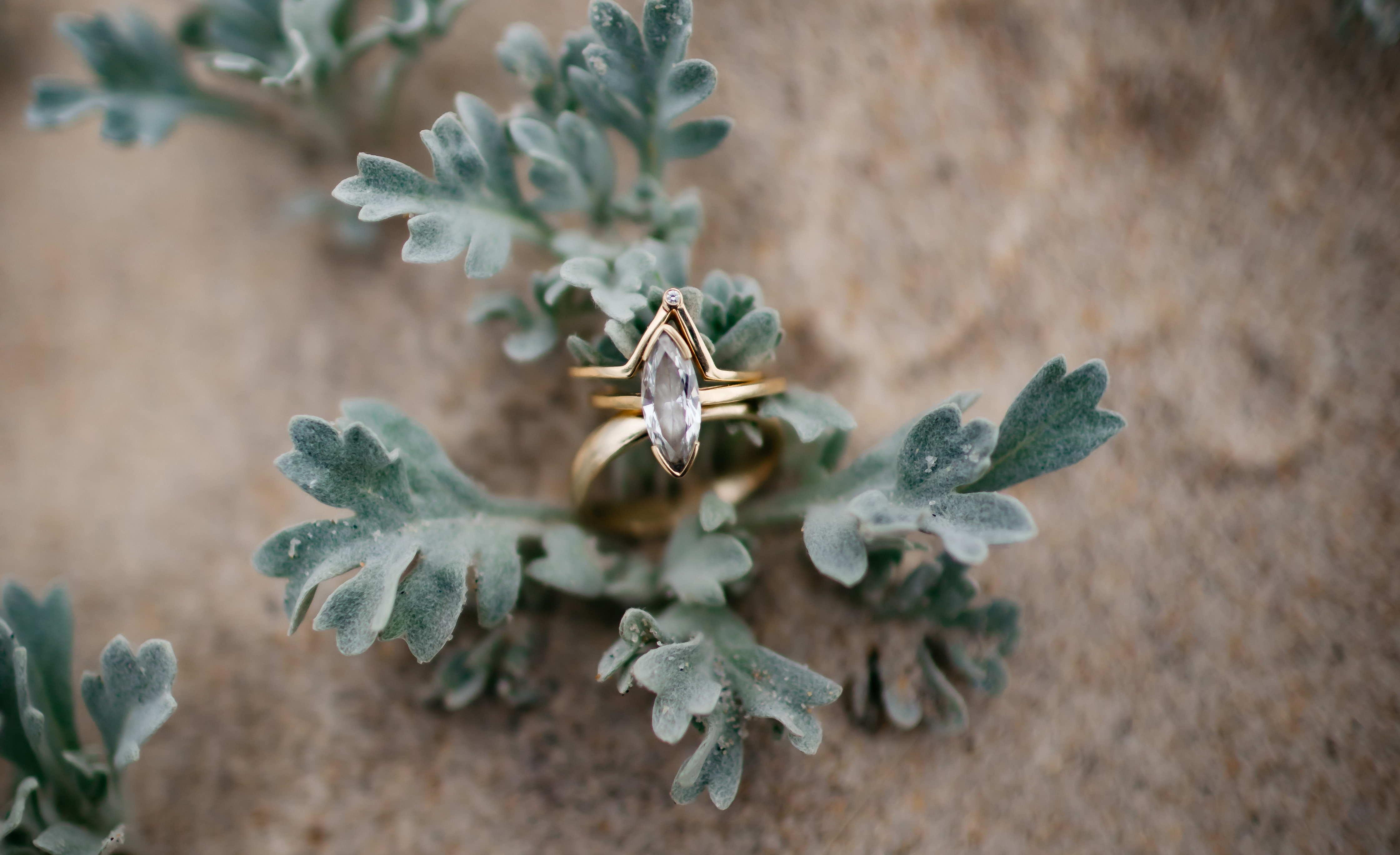 The Wedding Website of Sash Bischoff and Ben Borton