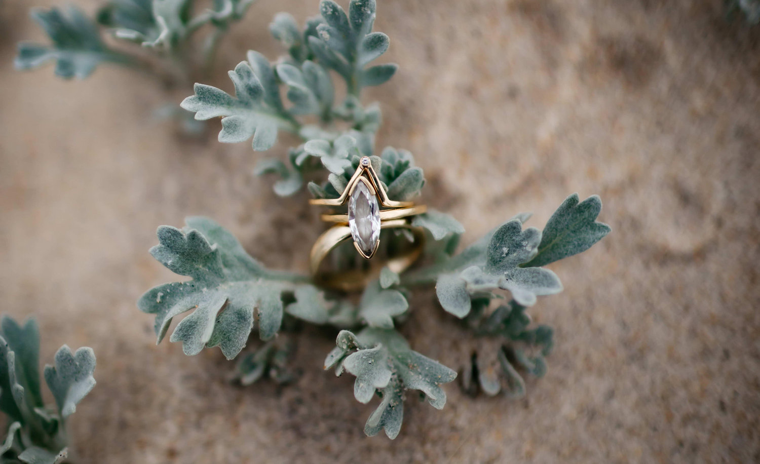 The Wedding Website of Sash Bischoff and Ben Borton