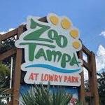 Zoo Tampa