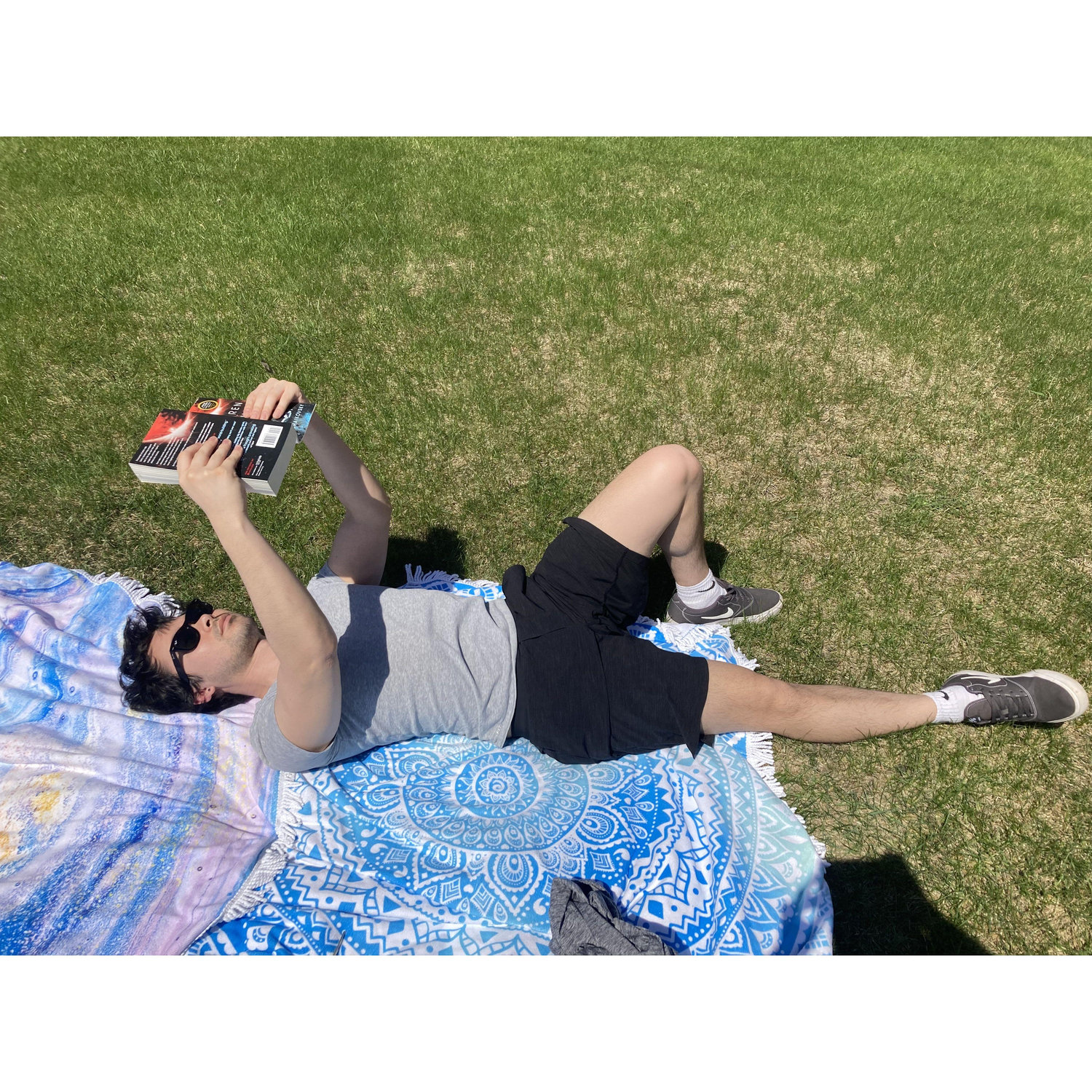 Sunny day of reading.