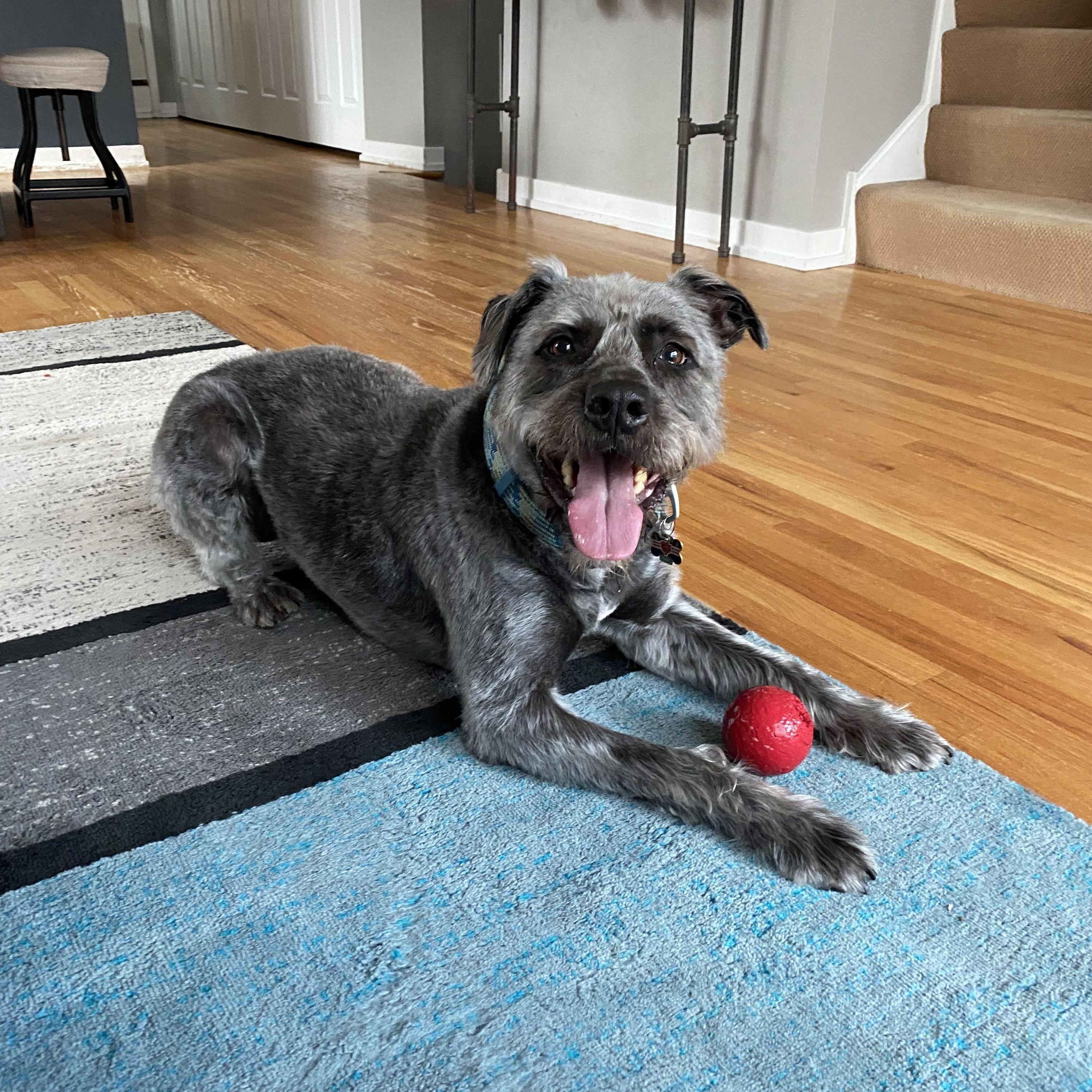 The inspiration for our wedding website password :)