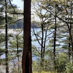 Lynn Woods Reservation