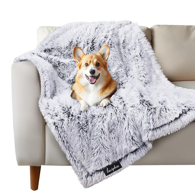 Luciphia Large Waterproof Dog Blanket Pet Washable Liquid Proof Furniture Protector Medium Shaggy Plush Calming Long Faux Fur Bed Cover for Couch Cat Blankets Kitten Doggy, Mist Grey, 40" x 50"