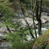 Laurel River Trailhead