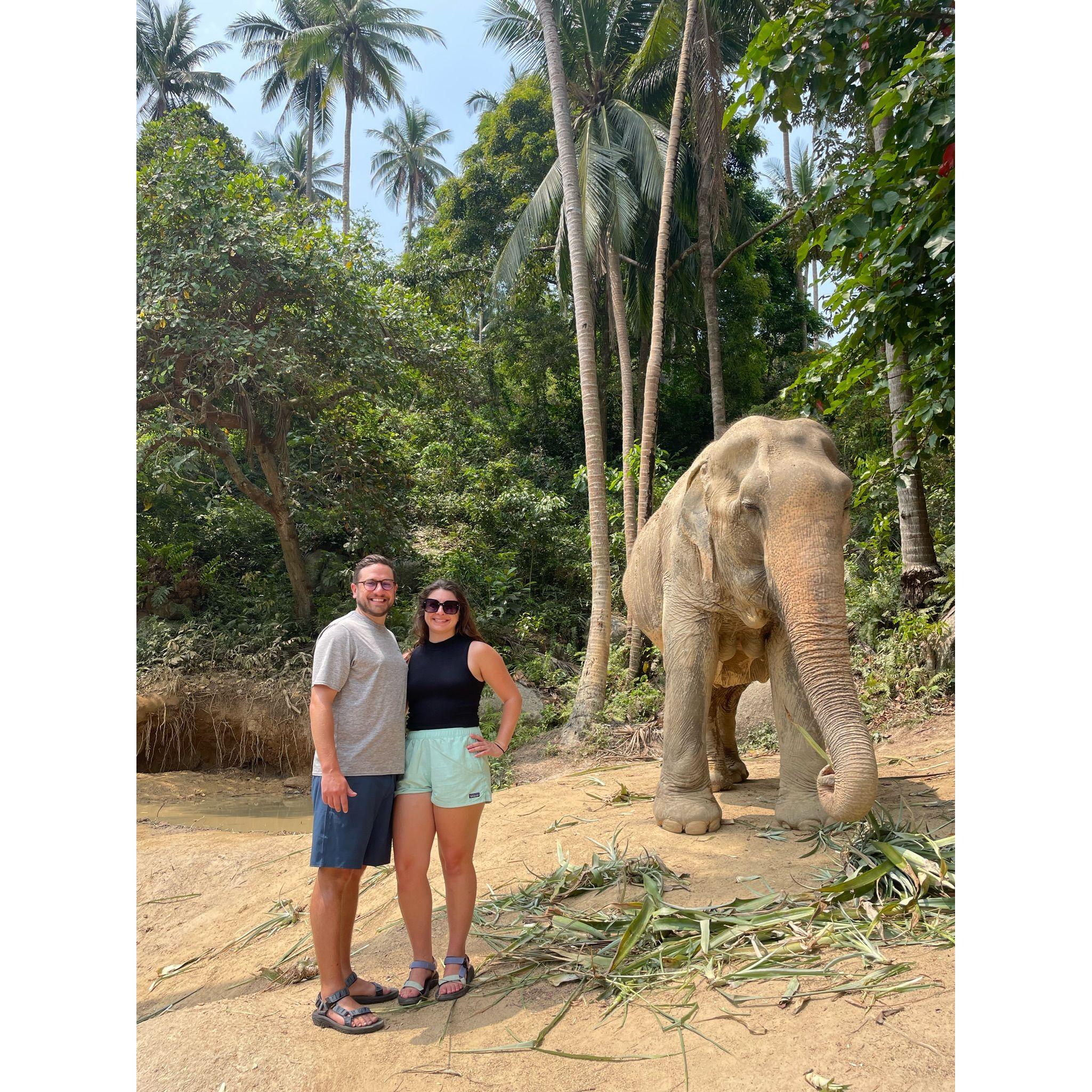 Elephant Sanctuary tour in Thailand in 2023!