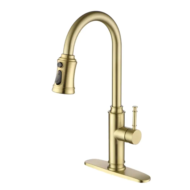 Kitchen Sink Faucet with Pull Down Dual Function Sprayer Single Handle with Deck Plate Brushed Gold