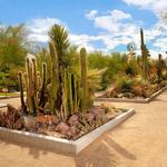 Springs Preserve
