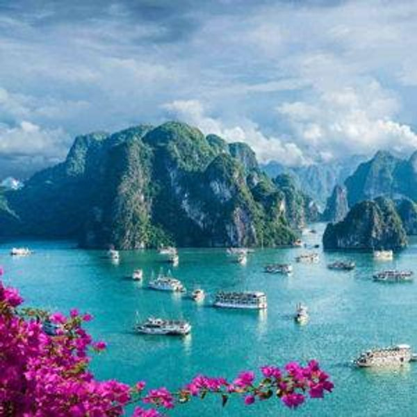 2026 Vietnam Honeymoon Fund