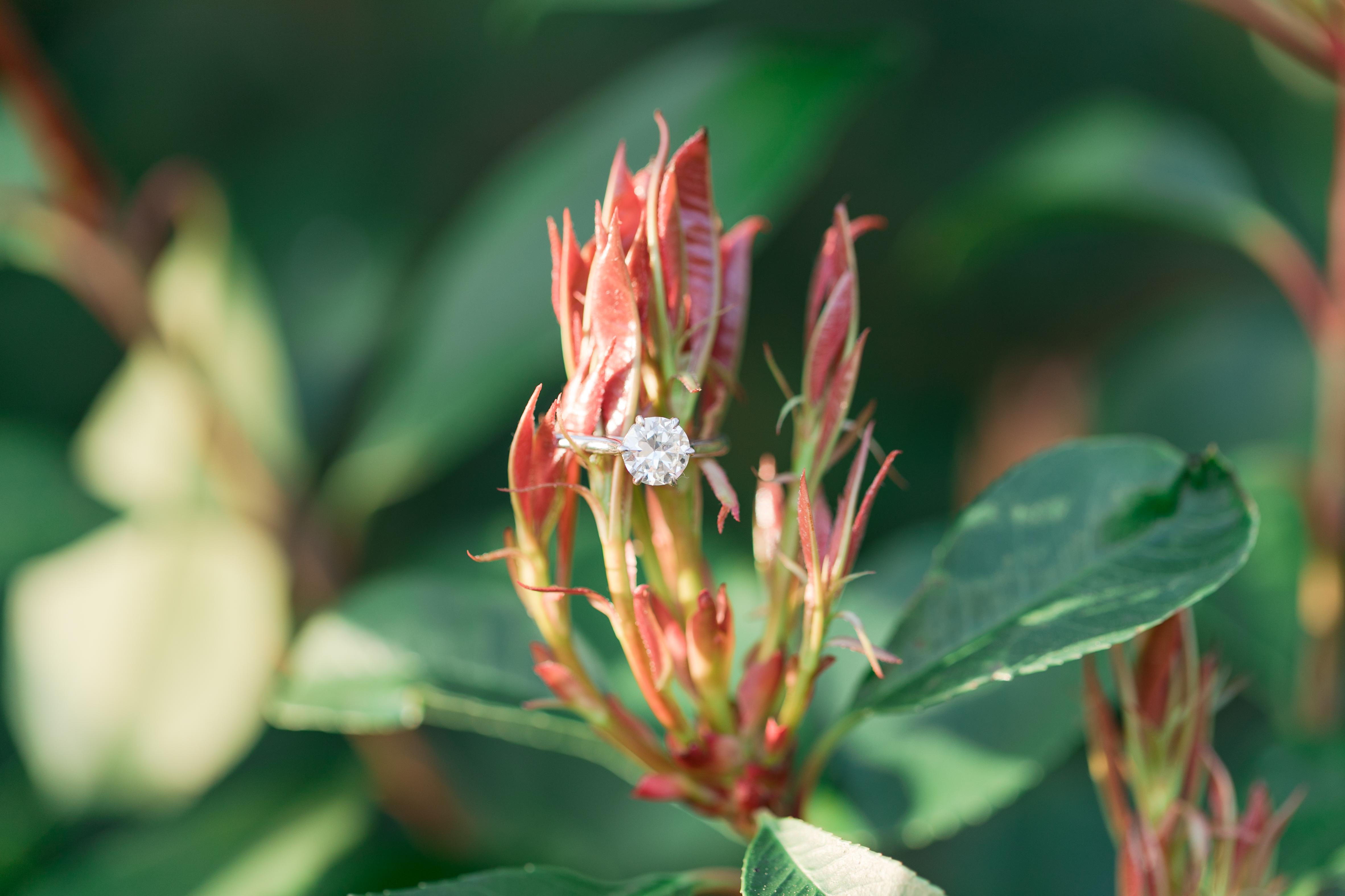 The Wedding Website of Tyler Logan and Jack Patterson