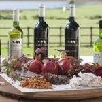 Durbanville Hills Winery