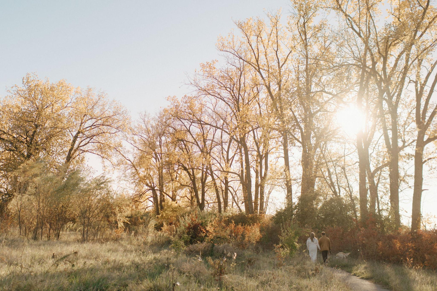 The Wedding Website of Madison VanDeCreek and Brandon Allor