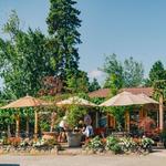 Marchesi Vineyards & Winery