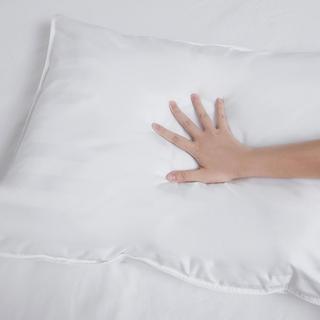 Down Alternative Extra Thin, Flat & Soft Stomach Sleeper Pillow